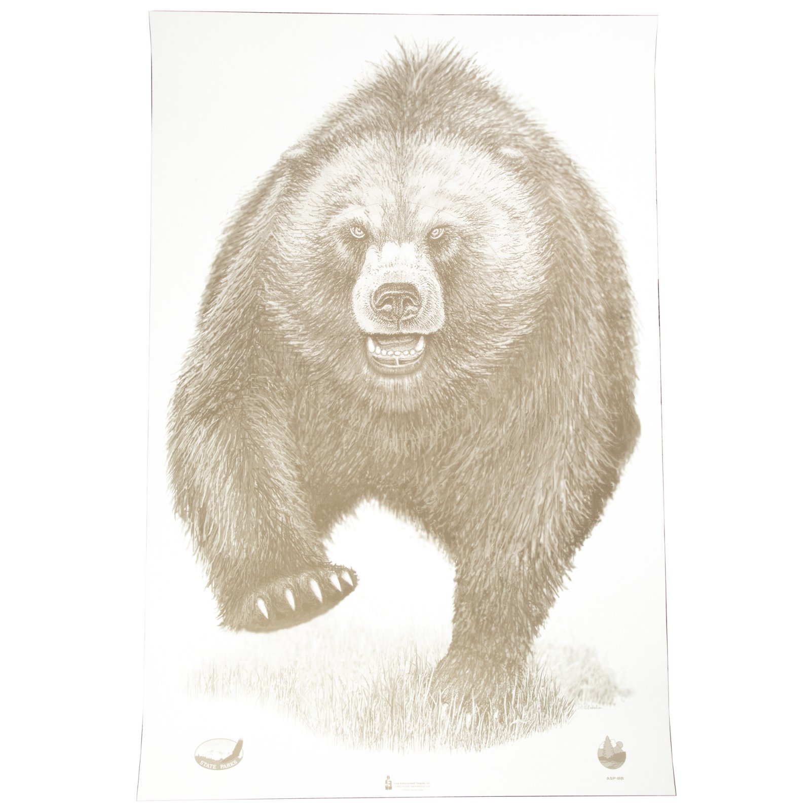 Buy Action Target ASP-BB-100 Alaska Bear Target 23"x35" 100 Pack online