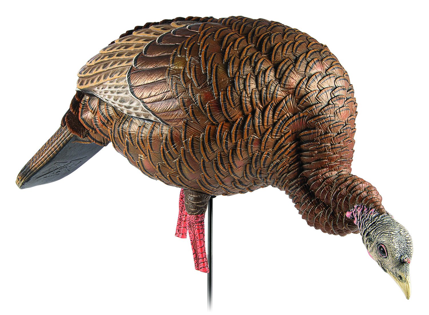 Avian-X HDR Feeder Hen Turkey Decoy Multi-Color AVXAVX8107 - Avian-X