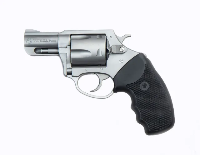 Charter Arms Pitbull 9mm 2.2 in Matte Stainless 5 Round SA/DA Revolver - CHARTER ARMS - 9mm