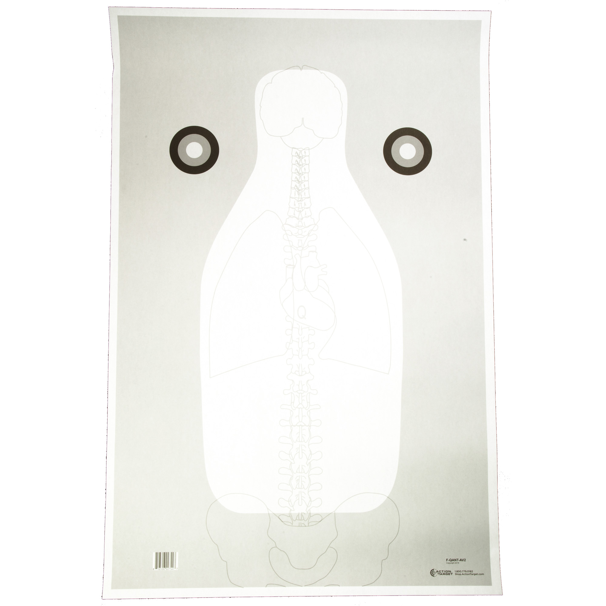 FBI Q Vital Anatomy V2 Training Target 23x35 Inch Black White Gray 100-Pack - Action Target