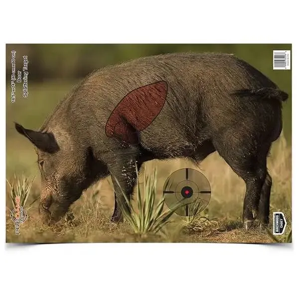 Birchwood Casey Dirty Bird PreGame Boar Target 16.5x24 3 Pack 35408 - Birchwood Casey