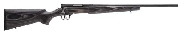Buy Savage B MAG Sporter 17 WSM Semi Auto Rifle online
