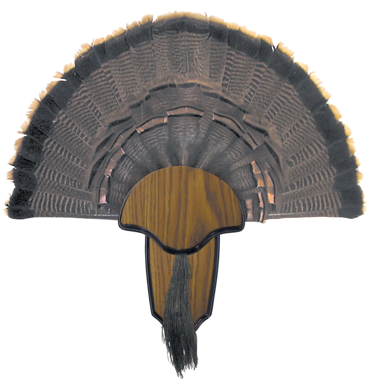 HS Precision Turkey Tail and Beard Mounting Kit Wood HS-00849 - HS Precision