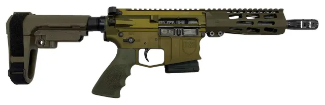 DARK STORM DS-15 TYPHOON FIXED MAGAZINE HGA 5.56 N...