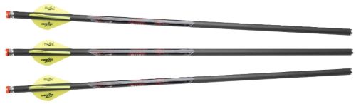 Excalibur Quill 22QV16IL-3 16.5 In Illuminated Nocks 3-Pack - Excalibur