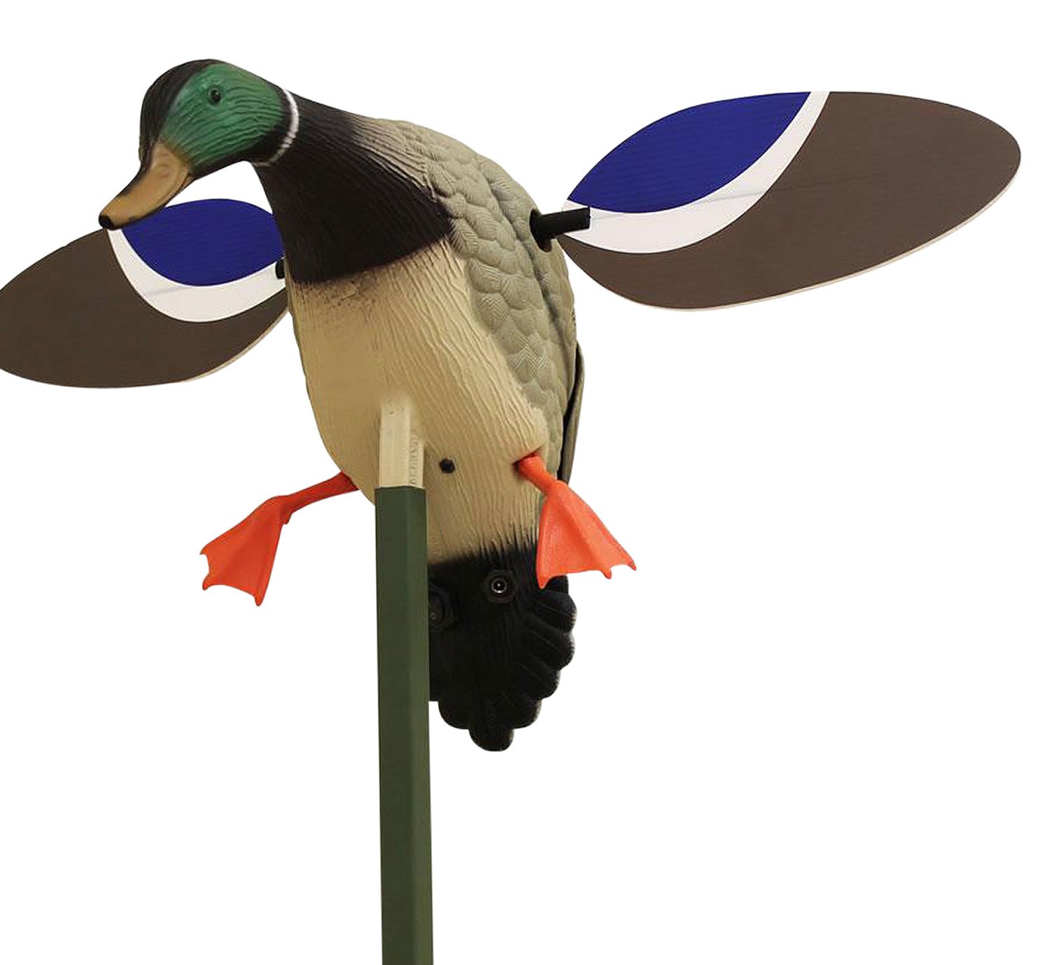 Mojo Outdoors Baby Mojo Drake Mallard Decoy 6V Rechargeable - Mojo Outdoors