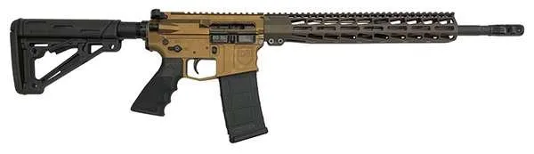 Buy Dark Storm DS15 556 Optics Ready Tactical Rifle online