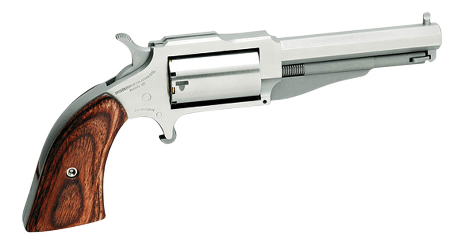 Buy NAA 1860 The Earl 22 Magnum 3 In 5rd Stainless Revolver online