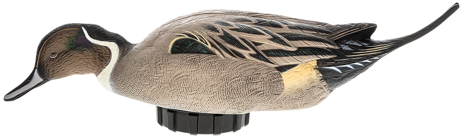 Avian-X Power Shaker Pintail Duck Decoy Multi-Color Life-Size - Avian-X