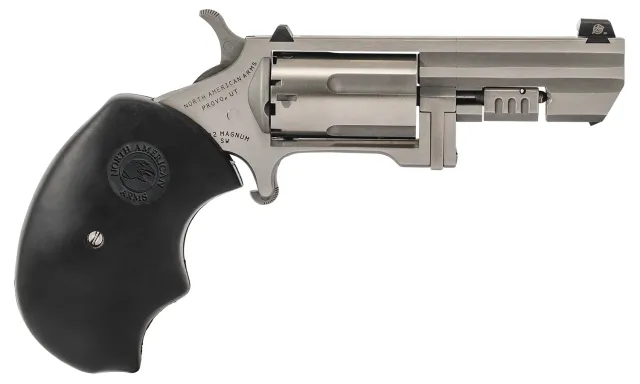 Buy NAA Recluse 22 Magnum 2.00 In 5 rd XS Dot Stainless/Black online