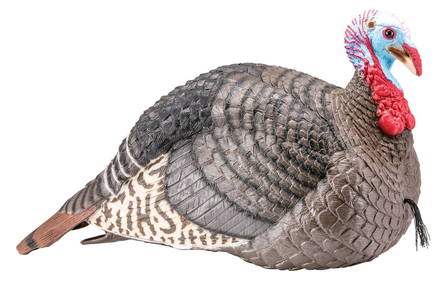 Buy Hunters Specialties Strut-Lite Jake Decoy 100003 Multi-Color Synthetic online