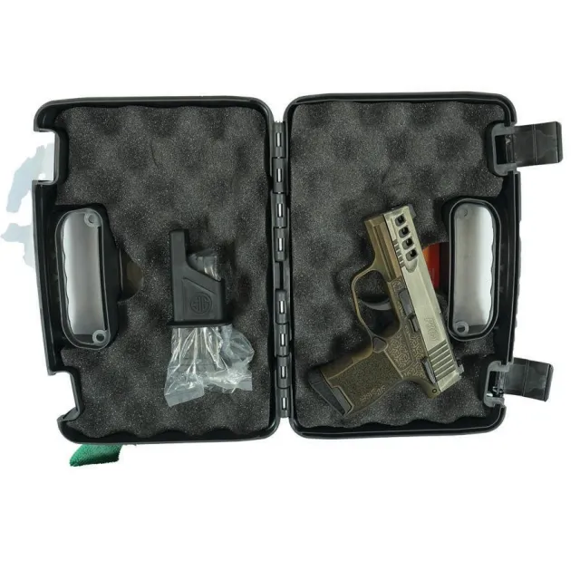 Sig Sauer 365-380-BSS-MS 380 Auto Pistol, 3.1" Barrel, 10rd, Night Sights