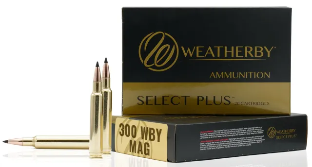 Weatherby S300180TGK Ammo 300WBY 180GR Sierra Tipped GameKing - Weatherby - 300 WBY