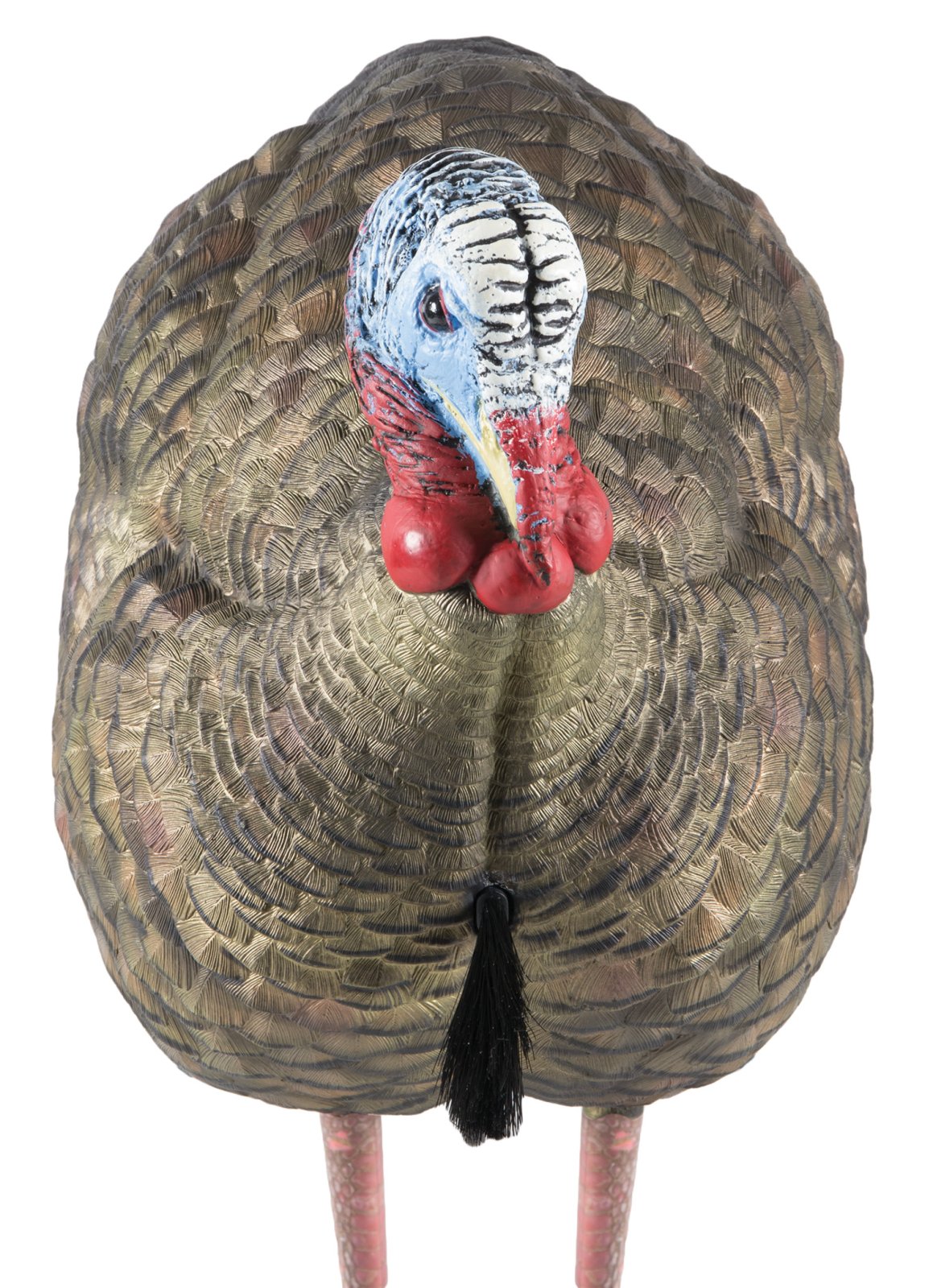 Avian X LCD Half-Strut Jake Turkey Decoy - GSM Outdoors