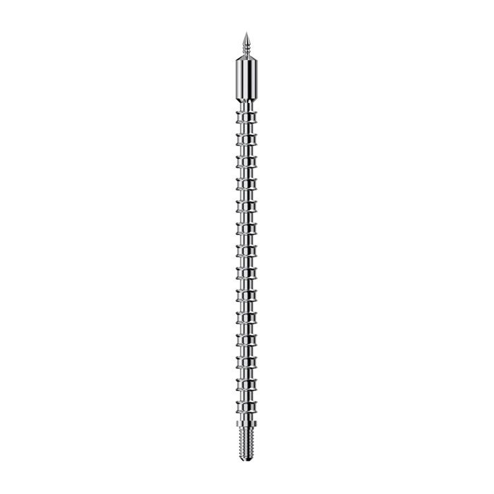 Buy Real AVID BORE MAX SPEED JAG .243 online