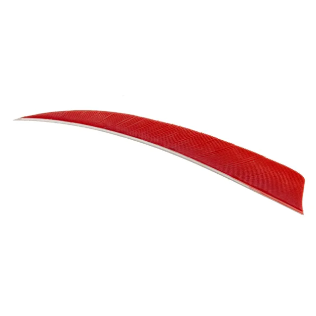 Trueflight 11603 Shield Cut Feathers Red 4 In RW 100 Pack - Trueflight