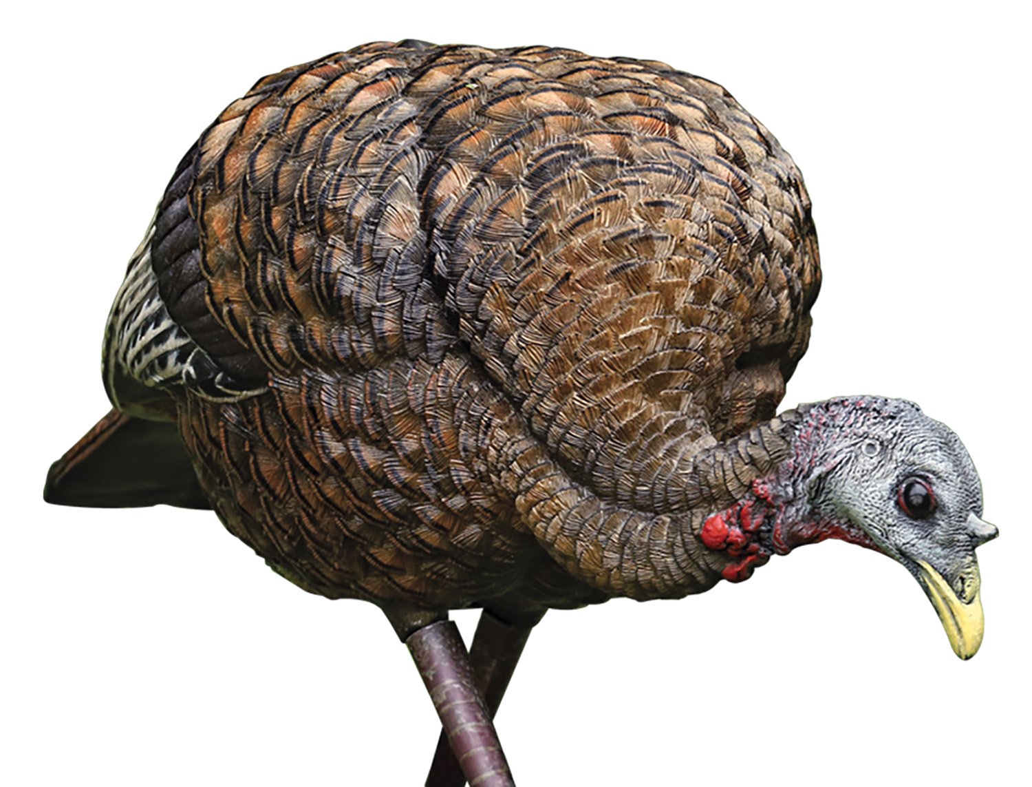 GSM Outdoors Avian-X LCD Feeder Hen Collapsible Lifelike Decoy - GSM Outdoors