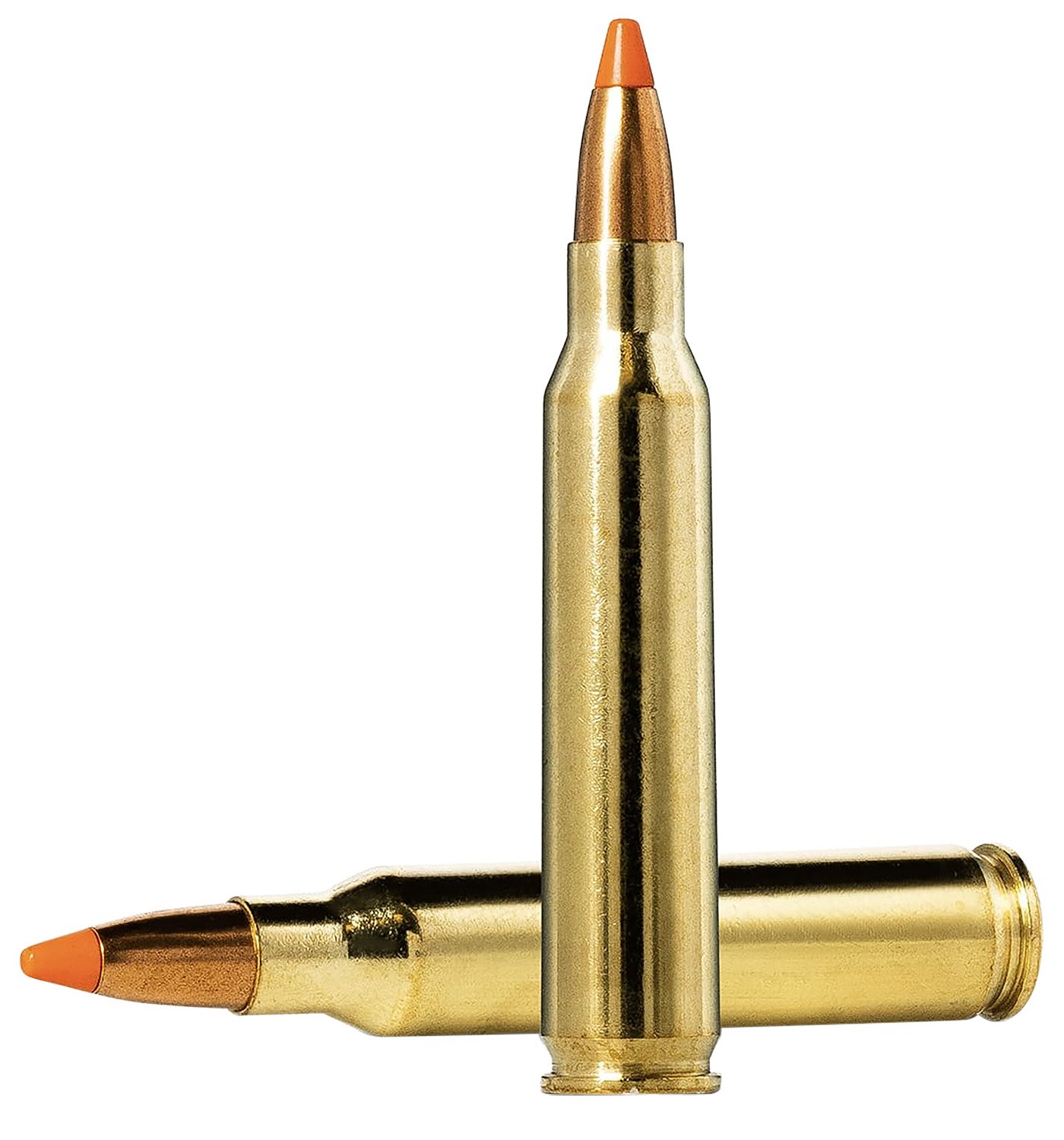 Buy Norma Dedicated Hunting Varmint 223 Rem 55gr Polymer 20157352 online