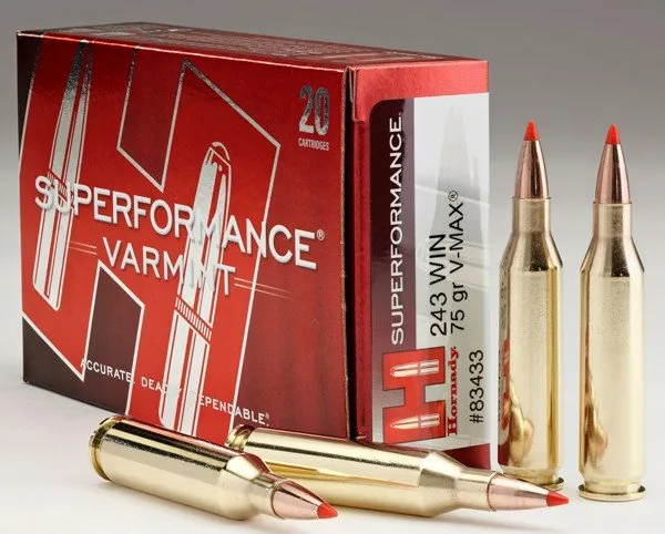 Hornady Superformance Varmint 243 Winchester 75 gr V-Max 20 Rds 83433 - Hornady Manufacturing Company - 243 Winchester
