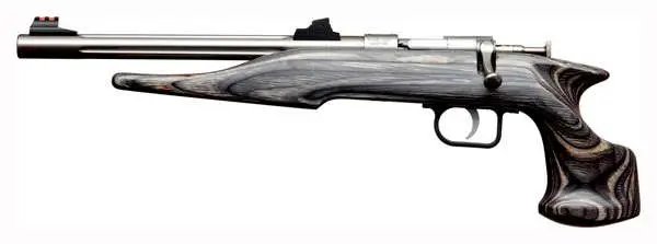 Chipmunk Hunter Youth 22 LR - CHIPMUNK - .22 LONG RIFLE