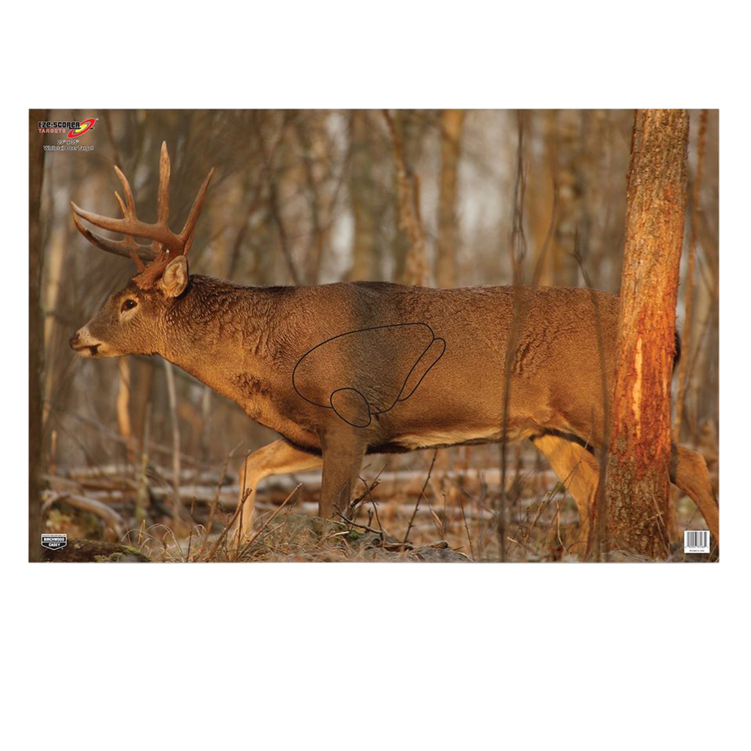 Birchwood Casey EZE-Scorer Whitetail Deer Target 23 in x 35 in 2 Pack - Birchwood Casey