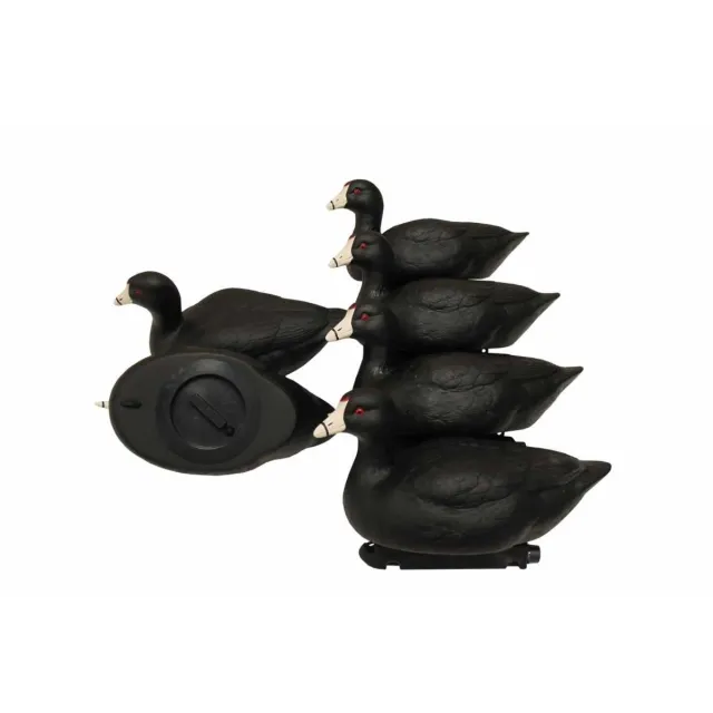 MOJO HW2514 Coot Confidence Decoys 6 Pack - Mojo Outdoors