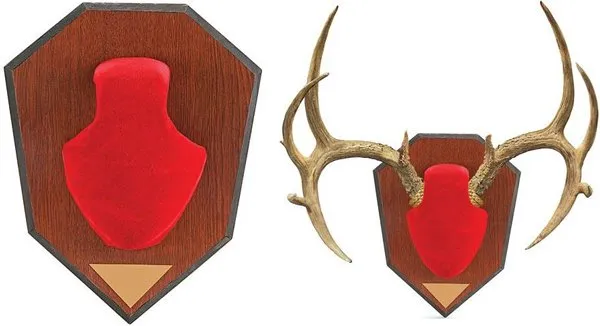 561 Allen Antler Mounting Kit: Red Skull Cap, Wood Grain Laminated Plaque, Engravable Plate, Adjustable Horn Configuration - Allen Company