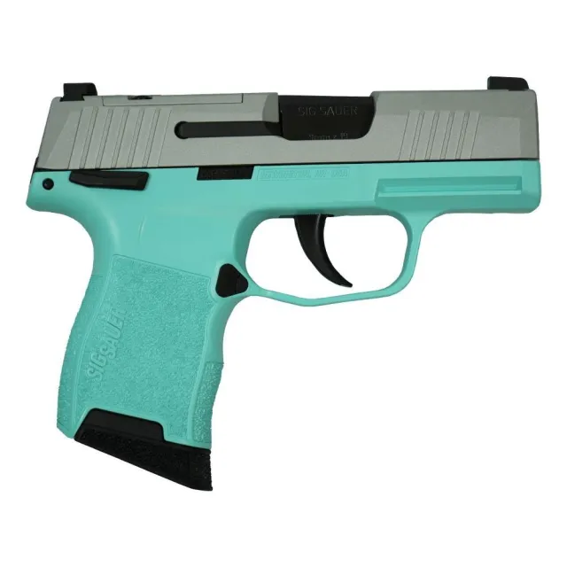 Buy Sig Sauer P365 9mm 3.1in 10rd Stainless-Custom online