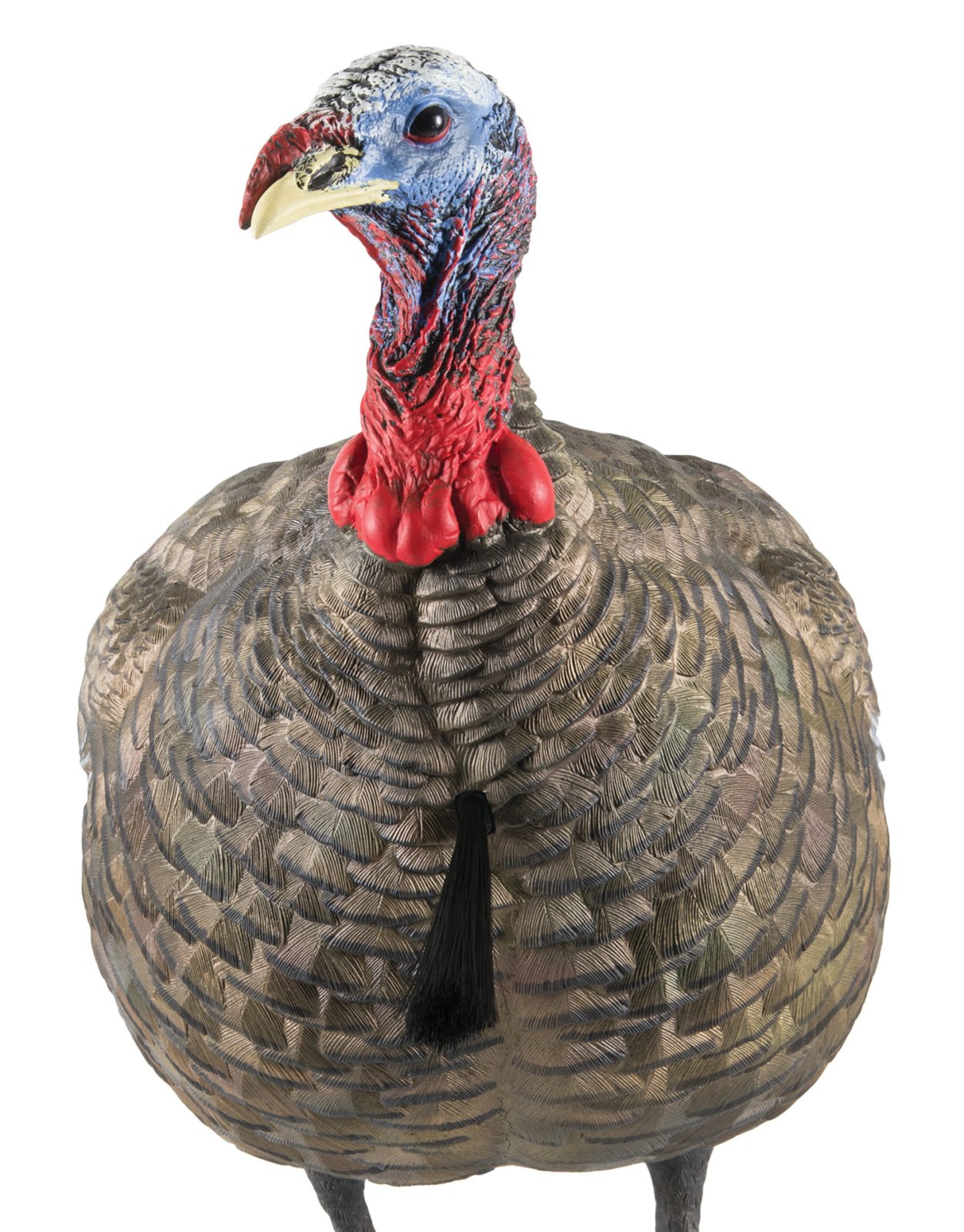 GSM Outdoors Avian X LCD Quarter-Strut Jake Decoy Lifelike - GSM Outdoors