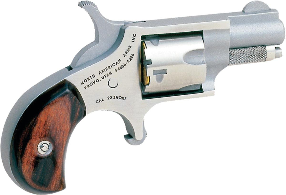 NAA NAA-22S .22 Short 1" 5-Rounds