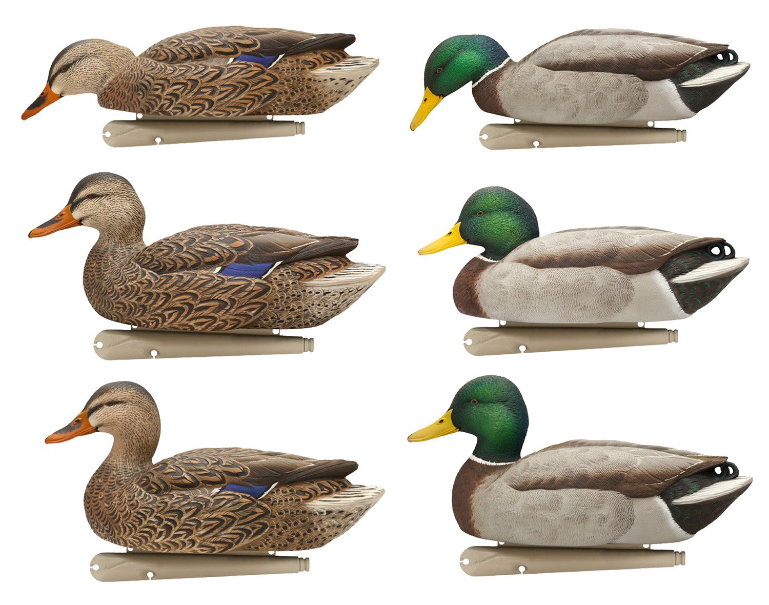 Avian X AVXAVX8076 Topflight Fusion Mallards Multi-Color 6-Pack Decoys - Avian-X