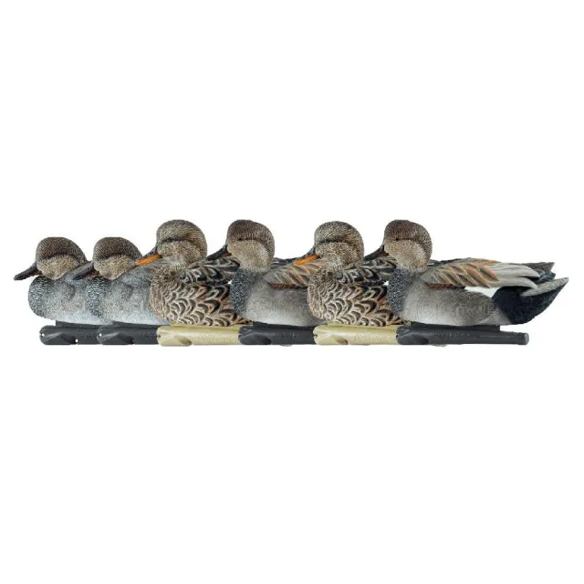 AvianX AVX8085 Top Flight Duck Decoys Gadwall 6-Pack, Realistic Design - Avian-X