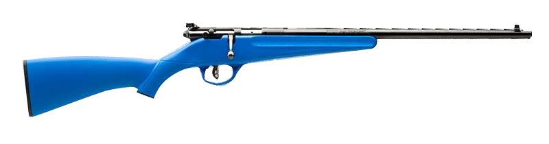 Buy Savage Arms 13785 Rascal Youth 22 LR 1rd 16.13" Matte Black Sporter... online