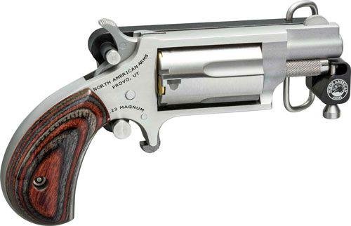 Buy NAA 22 Long Rifle 1-1/8in 5rd Mini-Revolver (NAA-22LR-BBS) online