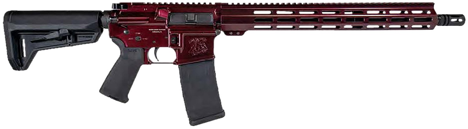 Buy Shark Coast Tactical 300-040-1000-00 556 NATO online