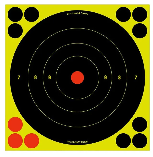 Birchwood CASEY Shoot-N-C 8in Bull's-Eye 30 Targets 360 Pasters (34825-30) - Birchwood Casey - 8"