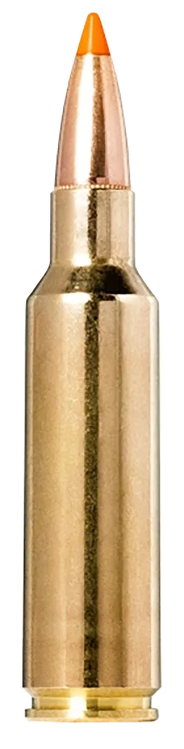 Buy Norma 20174022 Tipstrike 300WSM 170gr Hunting Ammo 20 Rounds online