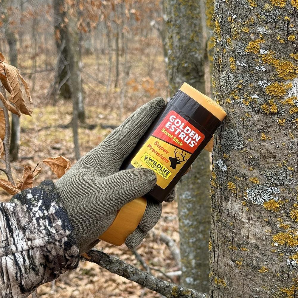 Wildlife Research Golden Estrus Scent Stick 2.5oz - Wildlife Research