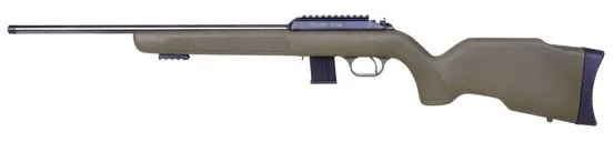Buy Diana R-22 Classic .22LR 4030017 .22lr .22WMR online