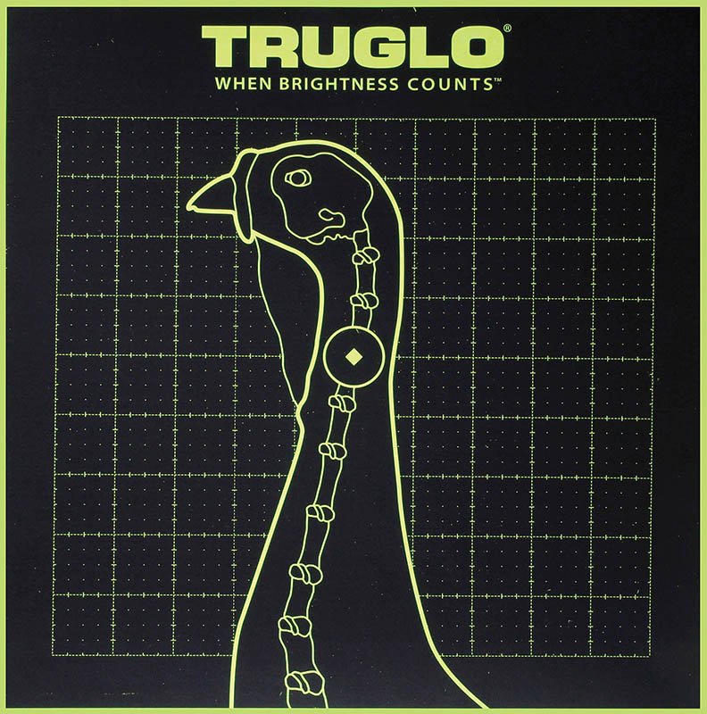Buy TruGlo TG12A6 Turkey Target 12x12 6 Pack online