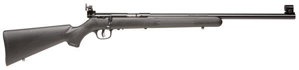 Buy Savage Arms Mark II FVT 22 LR Bolt Action 21 in Satin Blued 5 Round online