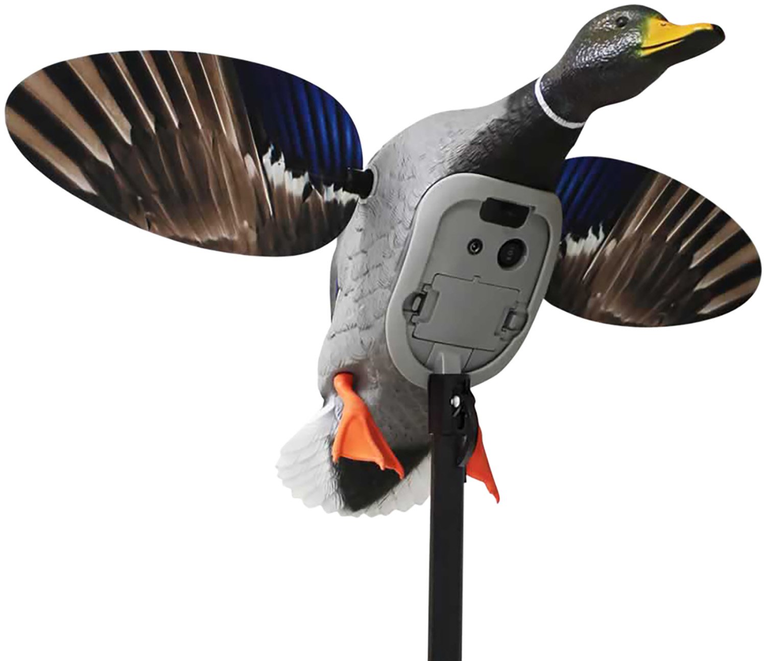 Buy Mojo Outdoors HW2520 Elite King Mallard Decoy, Multi-Color, 6V Li-Ion online