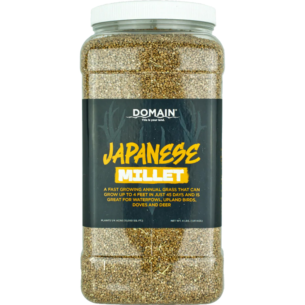 Domain Japanese Millet Seed 1/4 Acre Wildbird Forage Cover Crop - Domain