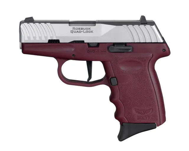 SCCY DVG-1TTCR 9mm 3.1" Stainless Steel Semi-Auto Pistol 10+1 - SCCY - 9MM for sale at Bang-Bang Tactical