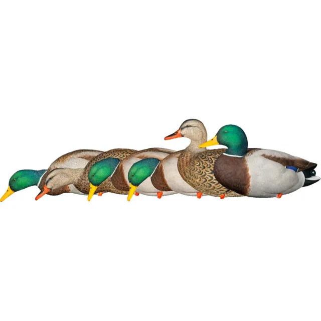 AvianX AVX8061 AXP Fusion Duck Decoys Mallards 6-Pack with Bag - Avian-X