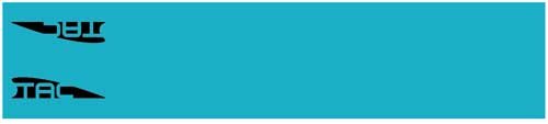 Buy TAC Vanes Arrow Wraps Turquoise 4.675 x 1.0 in. 13 pk. online