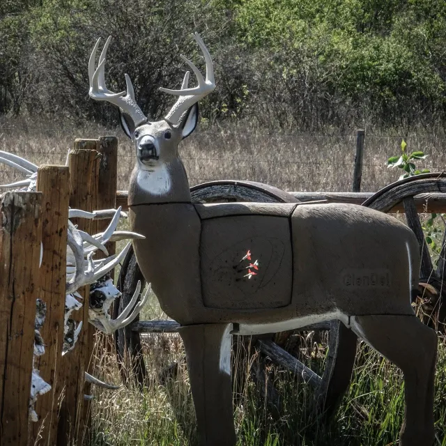 GlenDel G73000 Pre-Rut Buck Target, Polyfusion Tech, 36" Shoulder Height - Feradyne Outdoors