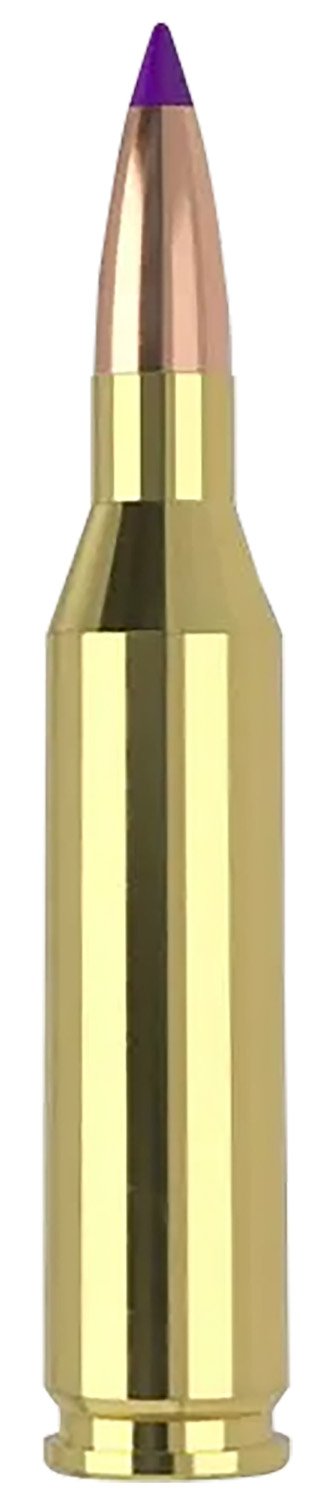 Buy Nosler 40041 Ballistic Tip Varmint .243 Win 70gr 20 Rounds online