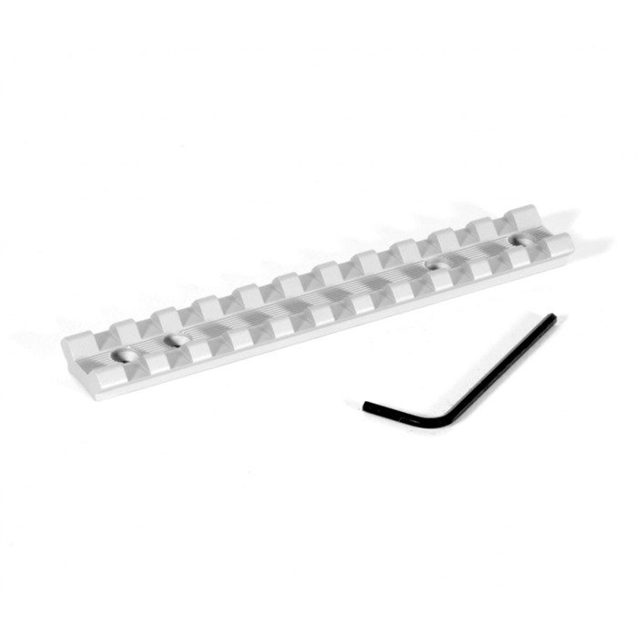 Buy EGW 46111 Picatinny Rail Scope Mount Silver Ruger 10/22 Takedown online