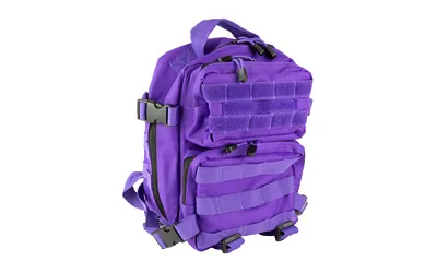 NcStar CVEDP3056PR Backpack, Purple, 396 Cubic Inch Main Compartment - NcSTAR